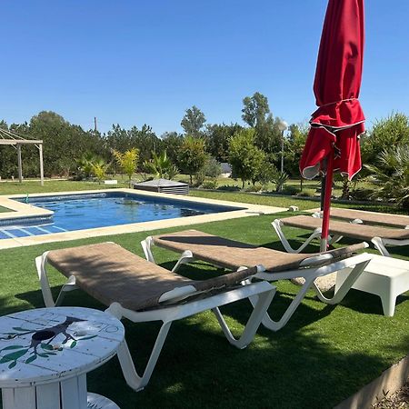Villa Ole Tu Andalucia Sanlúcar la Mayor Exterior foto